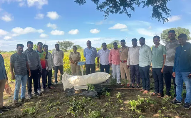 ಬೀದರ್ | ಹೊಲದಲ್ಲಿ ಬೆಳೆದಿದ್ದ 15 ಲಕ್ಷಕ್ಕಿಂತಲೂ ಹೆಚ್ಚು ಮೌಲ್ಯದ ಗಾಂಜಾ ವಶ : ಆರೋಪಿಯ ಬಂಧನ ಬೀದರ್ | ಹೊಲದಲ್ಲಿ ಬೆಳೆದಿದ್ದ 15 ಲಕ್ಷಕ್ಕಿಂತಲೂ ಹೆಚ್ಚು ಮೌಲ್ಯದ ಗಾಂಜಾ ವಶ : ಆರೋಪಿಯ ಬಂಧನ