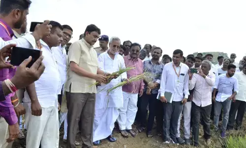 ಬೆಳೆ ಹಾನಿ : ಸಮೀಕ್ಷೆ ಮುಗಿಯುತ್ತಿದ್ದಂತೆ ಶೀಘ್ರ ಪರಿಹಾರ ವಿತರಣೆ : ಸಂಸದ ಜಿ.ಕುಮಾರ್ ನಾಯಕ್