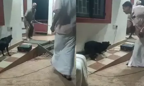 ಕೇರಳದಲ್ಲಿ ಬೀದಿ ನಾಯಿಗಳ ಉಪಟಳ | ಜಾಗೃತಿ ಮೂಡಿಸುವ ಬೀದಿ ನಾಟಕದ ವೇಳೆ ನಟನನ್ನೇ ಕಚ್ಚಿದ ಬೀದಿ ನಾಯಿ!