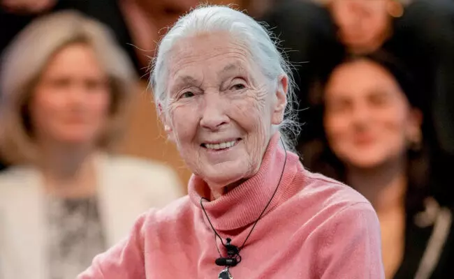 “ ಏಕಮುಖ ಬಾಹ್ಯಾಕಾಶ ಯಾತ್ರೆಗೆ ಮಸ್ಕ್ ಆತಿಥೇಯ, ಟ್ರಂಪ್ ಅತಿಥಿ!”