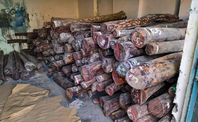 ದಿಲ್ಲಿ | ತಿರುಪತಿಯಿಂದ ಕಳ್ಳಸಾಗಣೆಯಾಗಿದ್ದ10 ಟನ್ ರಕ್ತ ಚಂದನ ವಶ, ಇಬ್ಬರ ಬಂಧನ