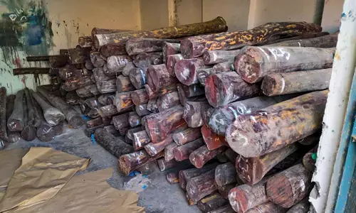 ದಿಲ್ಲಿ | ತಿರುಪತಿಯಿಂದ ಕಳ್ಳಸಾಗಣೆಯಾಗಿದ್ದ10 ಟನ್ ರಕ್ತ ಚಂದನ ವಶ, ಇಬ್ಬರ ಬಂಧನ