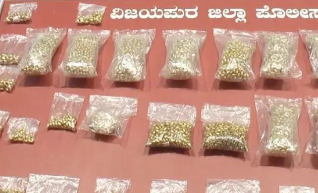 ವಿಜಯಪುರ | ಮನಗೂಳಿ ಬ್ಯಾಂಕ್ ದರೋಡೆ ಪ್ರಕರಣ: 15 ಮಂದಿ ಬಂಧನ