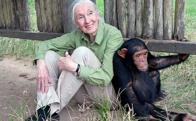 ಸಂರಕ್ಷಣೆಯ ದಣಿವರಿಯದ ಧ್ವನಿ ಮೌನವಾಯಿತು