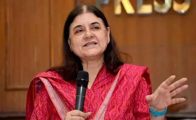 ರಾಯಚೂರು | ಮಹಾನಗರ ಪಾಲಿಕೆ ಸೆರೆ ಹಿಡಿದಿರುವ ಬೀದಿ ನಾಯಿಗಳನ್ನು ಸಂರಕ್ಷಿಸಲು ಮೇನಕಾ ಗಾಂಧಿ ಒತ್ತಾಯ