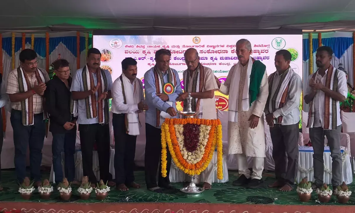 ಕೃಷಿಯಲ್ಲಿ ಮಿಶ್ರ ಬೆಳೆಯಿಂದ ಸ್ವಾವಲಂಬಿಯಾಗಲು ಸಾಧ್ಯ: ಮಂಜುನಾಥ ಭಂಡಾರಿ