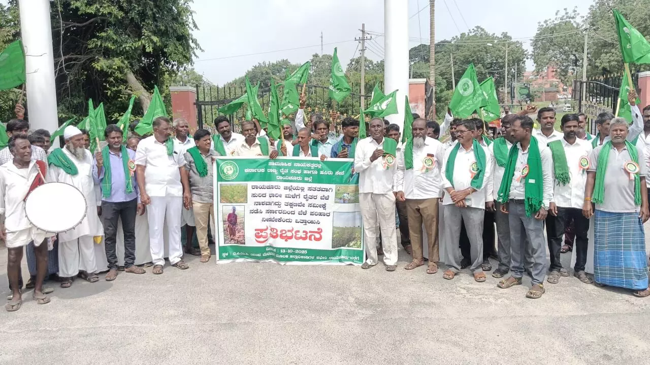 ರಾಯಚೂರು: ಬೆಳೆ ಹಾನಿ ಪರಿಹಾರ ನೀಡಲು ಒತ್ತಾಯಿಸಿ ರೈತರ ಧರಣಿ