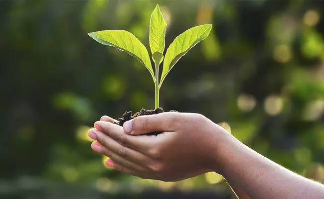 ಮಂಗಳೂರು | ಪರಿಸರ ಸಂರಕ್ಷಣೆಯ ಬಗ್ಗೆ ರೀಲ್ಸ್‌ ಮಾಡಿ ಬಹುಮಾನ ಗೆಲ್ಲಲು ಅವಕಾಶ