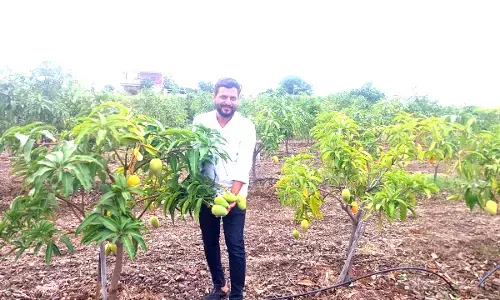 ಕಗ್ಗೋಡದಲ್ಲಿ ಘಮಘಮಿಸುತ್ತಿರುವ ಥಾಯ್ಲೆಂಡ್ ಮಾವು