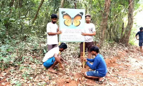 ಬ್ರಹ್ಮಾವರ ಕೃಷಿ ಕೇಂದ್ರದಲ್ಲಿ ಚಿಟ್ಟೆಗಳ ನೈಸರ್ಗಿಕ ಉದ್ಯಾನವನ