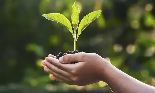 ಮಂಗಳೂರು | ಪರಿಸರ ಸಂರಕ್ಷಣೆಯ ಬಗ್ಗೆ ರೀಲ್ಸ್‌ ಮಾಡಿ ಬಹುಮಾನ ಗೆಲ್ಲಲು ಅವಕಾಶ