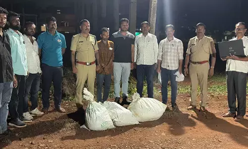 ಬೀದರ್ | ಗಾಂಜಾ ಮಾರಾಟದ ವೇಳೆ ದಾಳಿ ನಡೆಸಿದ ಪೊಲೀಸರು : ಒಬ್ಬ ಆರೋಪಿಯ ಬಂಧನ