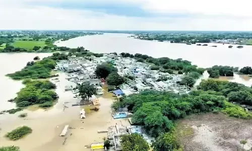 ಭೀಮರತಿಯ ರುದ್ರನರ್ತನ