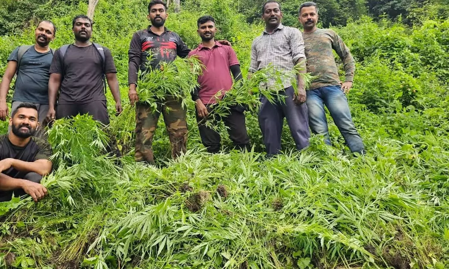 ಕೇರಳ | ಅಟ್ಟಪ್ಪಾಡಿ ದಟ್ಟ ಕಾಡಿನೊಳಗೆ ಗೌಪ್ಯವಾಗಿದ್ದ ಅತಿ ದೊಡ್ಡ ಗಾಂಜಾ ತೋಟ ನಾಶಪಡಿಸಿದ ಪೊಲೀಸರು