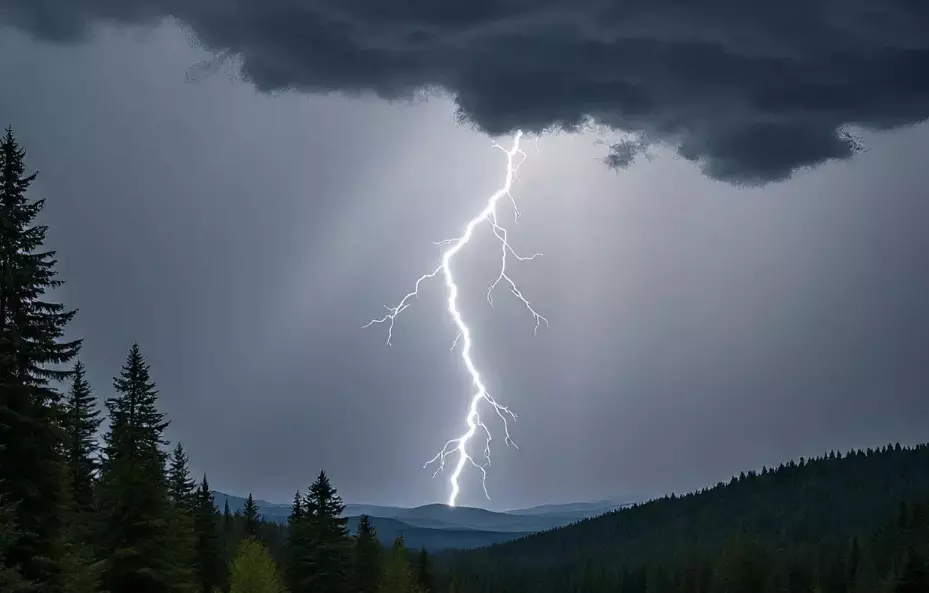 ಕಳಸ | ಸಿಡಿಲು ಬಡಿದು ಅಸ್ಸಾಂ ಮೂಲದ ಕಾರ್ಮಿಕ ಮೃತ್ಯು