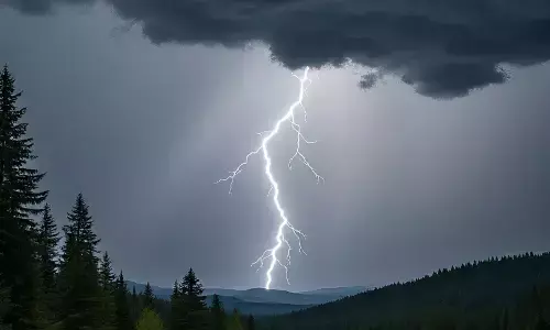 ಕಳಸ | ಸಿಡಿಲು ಬಡಿದು ಅಸ್ಸಾಂ ಮೂಲದ ಕಾರ್ಮಿಕ ಮೃತ್ಯು