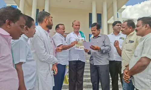 ರಾಯಚೂರು: ದಾಳಿಂಬೆ ಪಪ್ಪಾಯಿ ಬೆಳೆಗಾರರಿಗೆ ಪರಿಹಾರ ನೀಡಲು ಆಗ್ರಹ