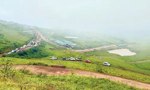 ಬಾಬಾ ಬುಡಾನ್‌ಗಿರಿ ವ್ಯಾಪ್ತಿಯಲ್ಲಿ ‘ಸೊನೇರಿಲಾ’ ಪ್ರಭೇದದ ಹೊಸ ಸಸ್ಯ ಪತ್ತೆ