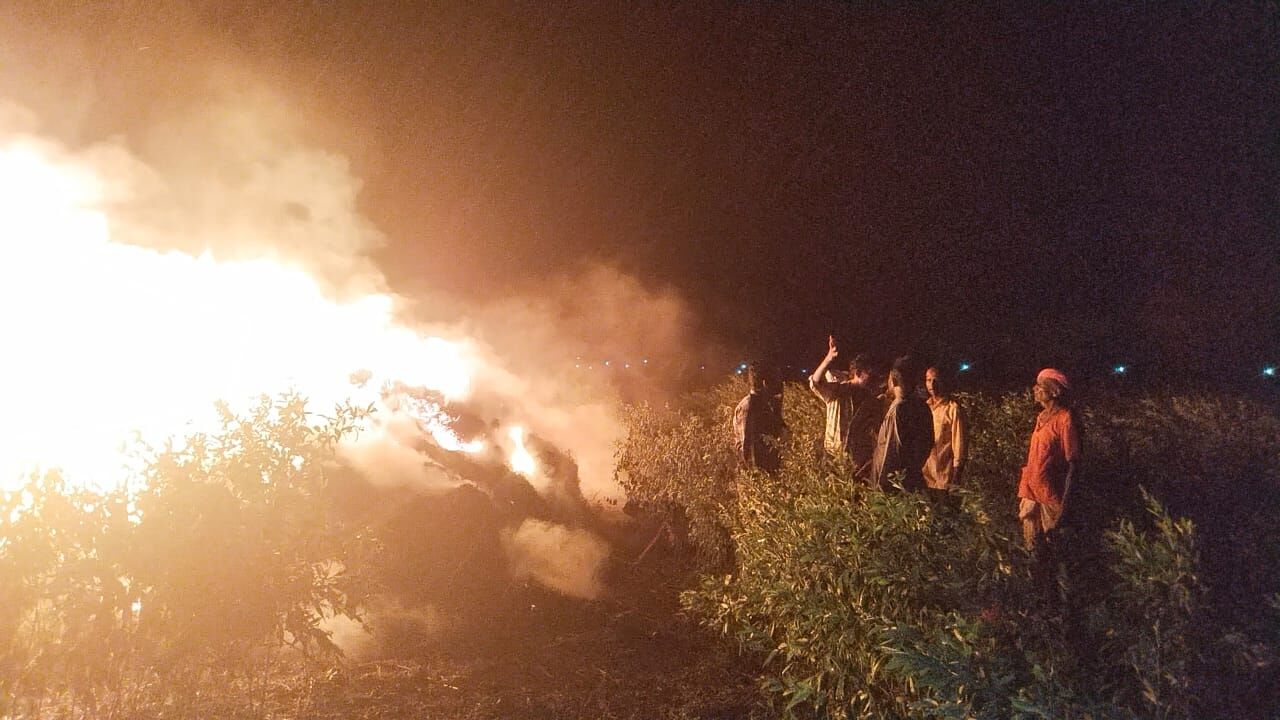 ಸೋಯಾ ಬಣವೆಗೆ ಬೆಂಕಿ ಹಚ್ಚಿದ ಕಿಡಿಗೇಡಿಗಳು : ಅಪಾರ ಪ್ರಮಾಣದ ಬೆಳೆ ಹಾನಿ