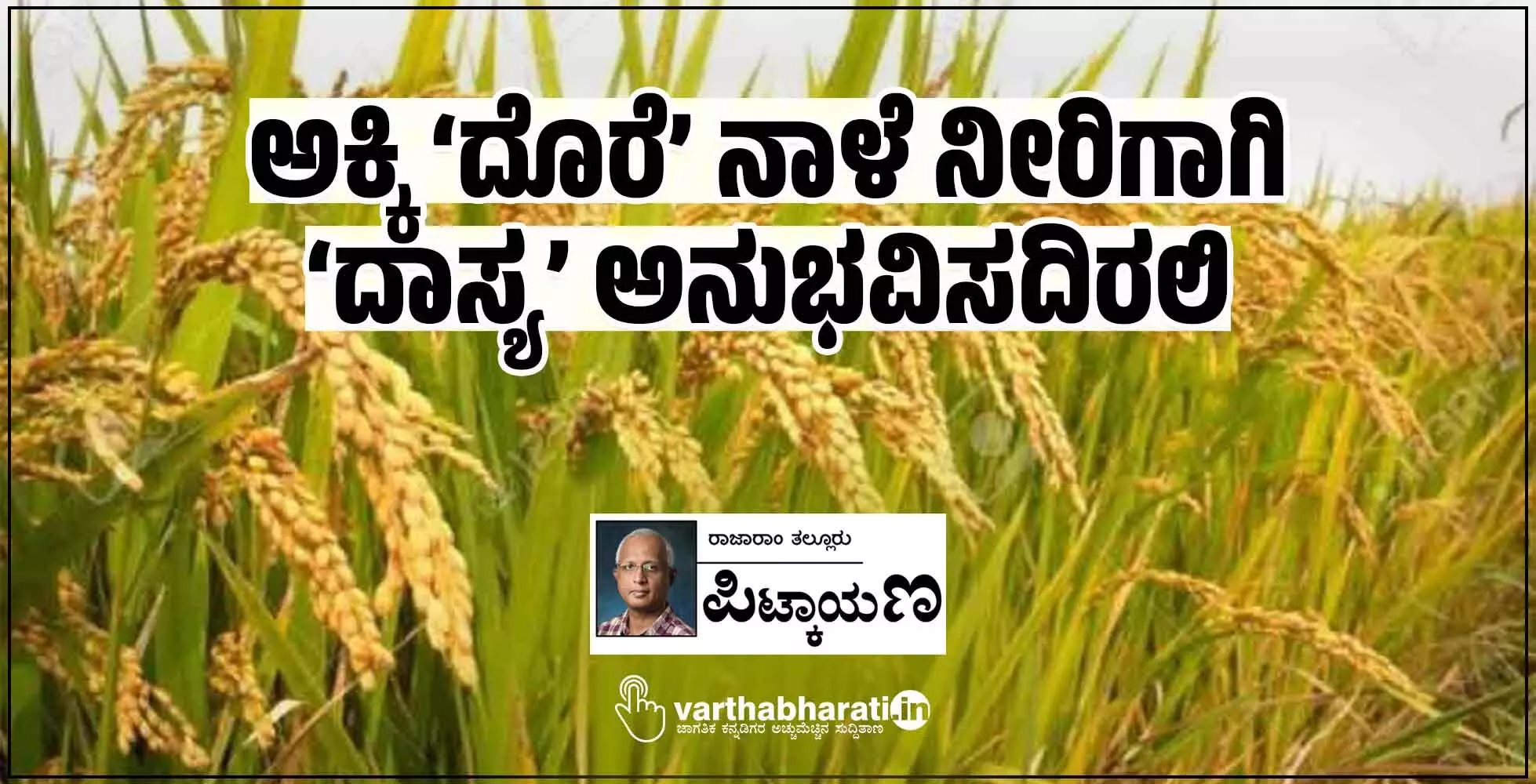 ಅಕ್ಕಿ ‘ದೊರೆ’ ನಾಳೆ ನೀರಿಗಾಗಿ ‘ದಾಸ್ಯ’ ಅನುಭವಿಸದಿರಲಿ ಅಕ್ಕಿ ‘ದೊರೆ’ ನಾಳೆ ನೀರಿಗಾಗಿ ‘ದಾಸ್ಯ’ ಅನುಭವಿಸದಿರಲಿ