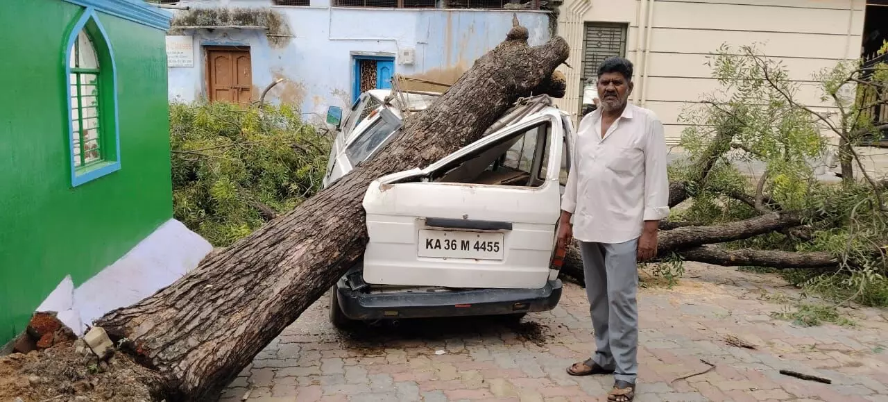 ರಾಯಚೂರು | ನಿರಂತರ ಮಳೆ : ನಿಂತ ಕಾರಿನ ಮೇಲೆ ಬಿದ್ದ ಬೃಹತ್ ಗಾತ್ರದ ಮರ