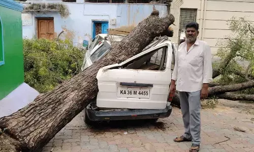 ರಾಯಚೂರು | ನಿರಂತರ ಮಳೆ : ನಿಂತ ಕಾರಿನ ಮೇಲೆ ಬಿದ್ದ ಬೃಹತ್ ಗಾತ್ರದ ಮರ