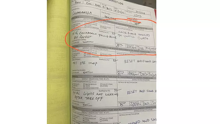 ಜಿರಳೆ ಸಾಯುವವರೆಗೂ ನೇಣು ಹಾಕಲಾಗಿದೆ!: ಏರ್ ಇಂಡಿಯಾ ಕ್ಯಾಬಿನ್‌ ಸಿಬ್ಬಂದಿಯ ಲಾಗ್ ಬುಕ್ ವೈರಲ್