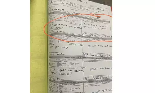 ಜಿರಳೆ ಸಾಯುವವರೆಗೂ ನೇಣು ಹಾಕಲಾಗಿದೆ!: ಏರ್ ಇಂಡಿಯಾ ಕ್ಯಾಬಿನ್‌ ಸಿಬ್ಬಂದಿಯ ಲಾಗ್ ಬುಕ್ ವೈರಲ್