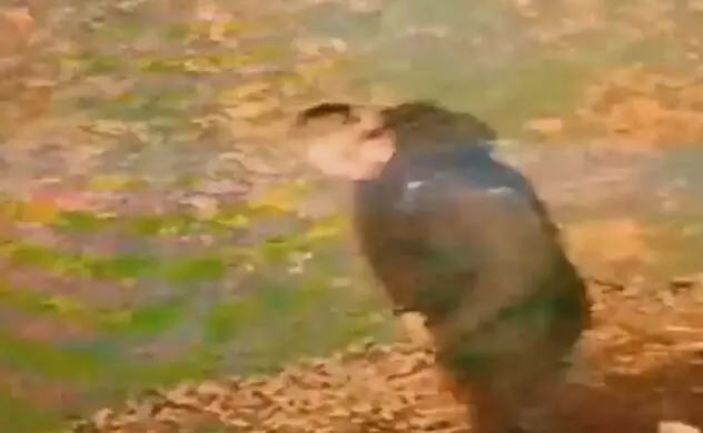 ಇಂಗ್ಲೆಂಡ್‌ನಲ್ಲಿ ಭಾರತೀಯ ಮೂಲದ ಯುವತಿ ಮೇಲೆ ಅತ್ಯಾಚಾರ | ಜನಾಂಗೀಯ ದಾಳಿʼ ಎಂದು ಪರಿಗಣಿಸಿದ ಪೊಲೀಸರು: ವರದಿ