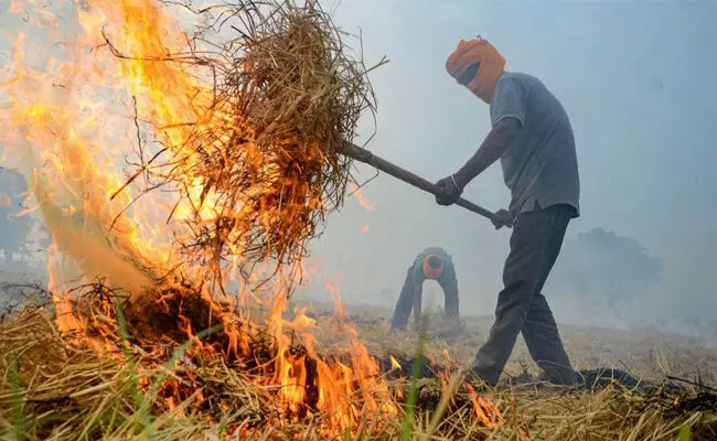 ಪಂಜಾಬ್: ಒಂದೇ ದಿನದಲ್ಲಿ ಕೃಷಿ ತ್ಯಾಜ್ಯ ದಹನದ ಅತ್ಯಧಿಕ 122 ಪ್ರಕರಣಗಳು ದಾಖಲು ಪಂಜಾಬ್: ಒಂದೇ ದಿನದಲ್ಲಿ ಕೃಷಿ ತ್ಯಾಜ್ಯ ದಹನದ ಅತ್ಯಧಿಕ 122 ಪ್ರಕರಣಗಳು ದಾಖಲು