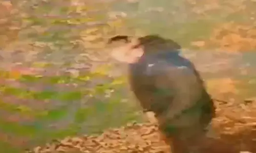 ಇಂಗ್ಲೆಂಡ್‌ನಲ್ಲಿ ಭಾರತೀಯ ಮೂಲದ ಯುವತಿ ಮೇಲೆ ಅತ್ಯಾಚಾರ | ಜನಾಂಗೀಯ ದಾಳಿʼ ಎಂದು ಪರಿಗಣಿಸಿದ ಪೊಲೀಸರು: ವರದಿ