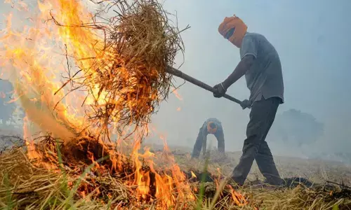 ಪಂಜಾಬ್: ಒಂದೇ ದಿನದಲ್ಲಿ ಕೃಷಿ ತ್ಯಾಜ್ಯ ದಹನದ ಅತ್ಯಧಿಕ 122 ಪ್ರಕರಣಗಳು ದಾಖಲು