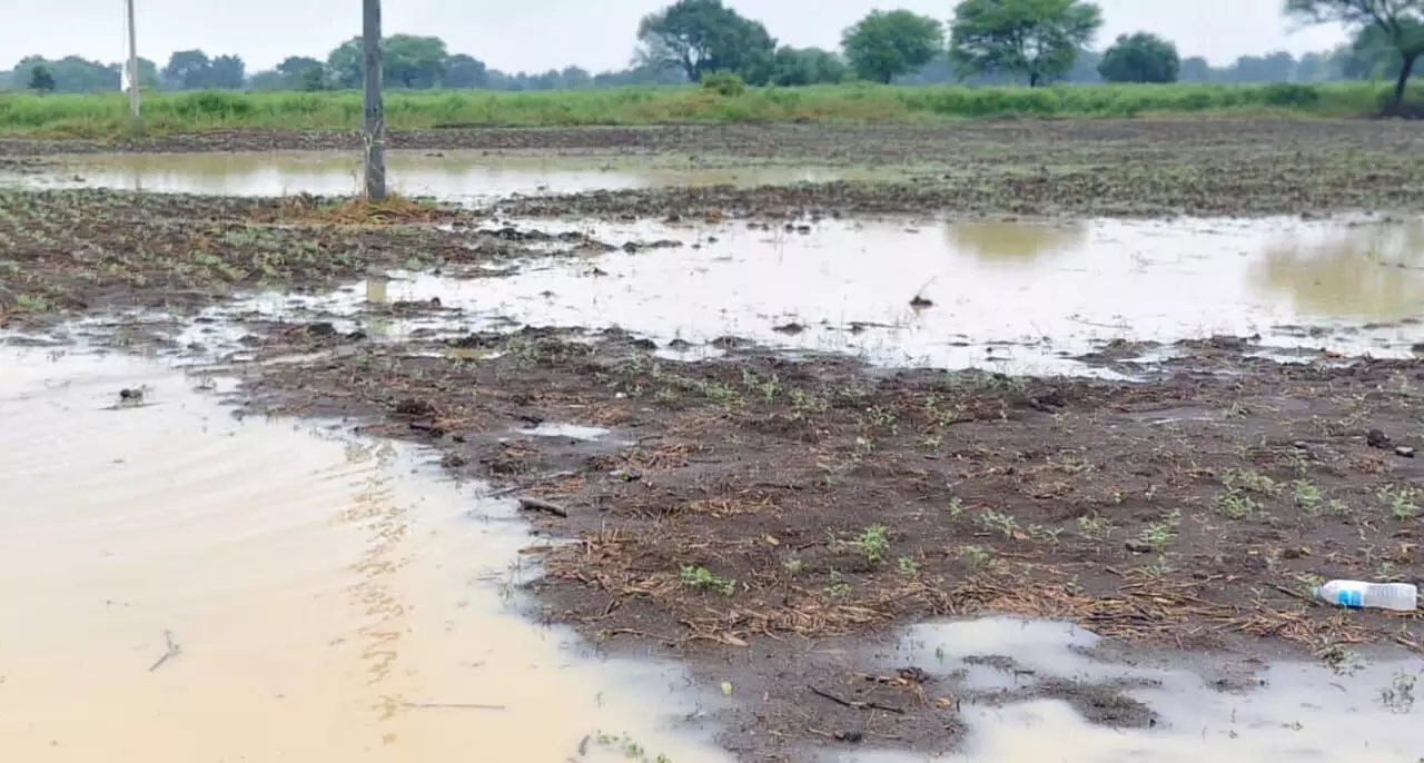 ಮೊಂಥಾ ಚಂಡಮಾರುತದ ಪ್ರಭಾವ: ಬೀದರ್ ಜಿಲ್ಲೆಯಲ್ಲಿ ಧಾರಾಕಾರ ಮಳೆ ಮೊಂಥಾ ಚಂಡಮಾರುತದ ಪ್ರಭಾವ: ಬೀದರ್ ಜಿಲ್ಲೆಯಲ್ಲಿ ಧಾರಾಕಾರ ಮಳೆ