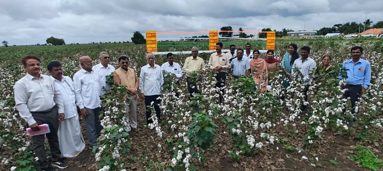 ರಾಯಚೂರಿನಲ್ಲಿ ಹತ್ತಿ ಬೆಳೆಯಲ್ಲಿ ಹೆಚ್ಚಿನ ಸಾಂದ್ರತೆಯ ನಾಟಿ ಪದ್ಧತಿಯ ಕ್ಷೇತ್ರೋತ್ಸವ, ರೈತರ ಸಂವಾದ ಯಶಸ್ವಿ