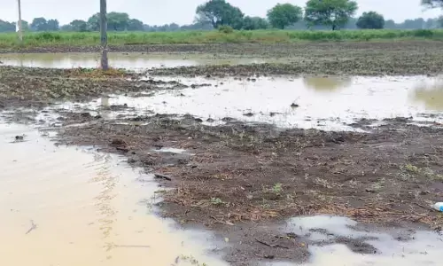 ಮೊಂಥಾ ಚಂಡಮಾರುತದ ಪ್ರಭಾವ: ಬೀದರ್ ಜಿಲ್ಲೆಯಲ್ಲಿ ಧಾರಾಕಾರ ಮಳೆ