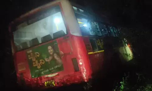 ಬೀದರ್ | ಬ್ರೇಕ್‌ ಫೈಲ್‌ನಿಂದ ಕೆಕೆಆರ್‌ಟಿಸಿ ಬಸ್ ಮರಕ್ಕೆ ಢಿಕ್ಕಿ : ಪ್ರಯಾಣಿಕರು ಪಾರು