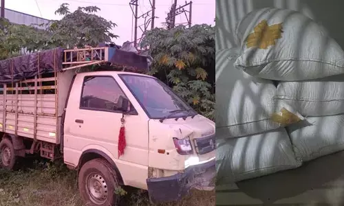 ಸೋಮವಾರಪೇಟೆ| ಲಕ್ಷಾಂತರ ರೂ. ಮೌಲ್ಯದ ಕಾಳು ಮೆಣಸು ಕಳ್ಳತನ: ನಾಲ್ವರು ಆರೋಪಿಗಳ ಬಂಧನ