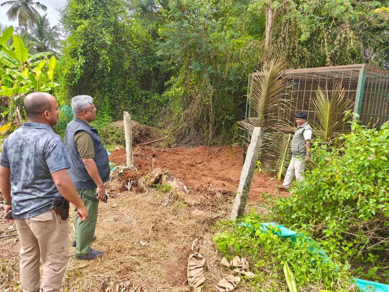 ಹುಲಿ ದಾಳಿ ಭೀತಿಯಲ್ಲಿದ್ದ ರೈತರಿಗೆ ಅರಣ್ಯ ಸಿಬ್ಬಂದಿಯ ಅಭಯ