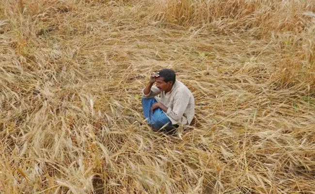 ಮಧ್ಯ ಪ್ರದೇಶ | ಅಕಾಲಿಕ ಮಳೆಯಿಂದ ಬೆಳೆ ನಾಶ : ರೈತ ಆತ್ಮಹತ್ಯೆ