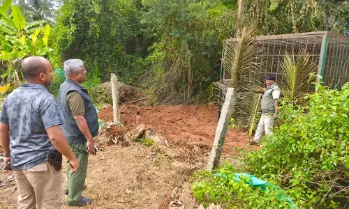 ಹುಲಿ ದಾಳಿ ಭೀತಿಯಲ್ಲಿದ್ದ ರೈತರಿಗೆ ಅರಣ್ಯ ಸಿಬ್ಬಂದಿಯ ಅಭಯ