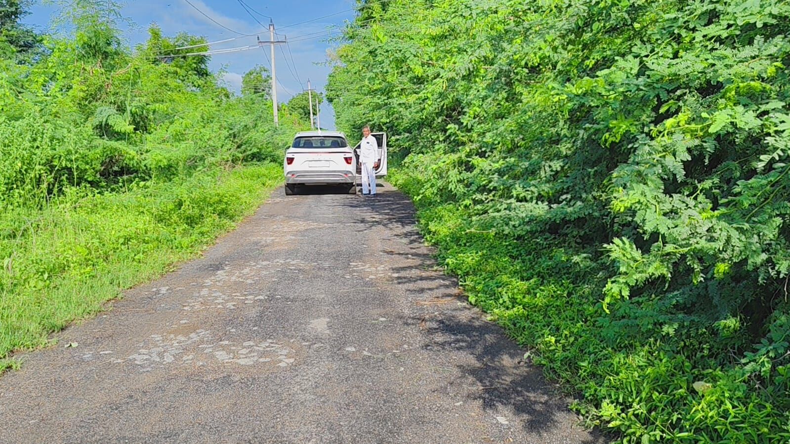 ರಸ್ತೆಯ ಇಕ್ಕೆಲಗಳಲ್ಲಿ ಆಳೆತ್ತರ ಬೆಳೆದ ಗಿಡಗಂಟಿಗಳು; ಸಂಕಷ್ಟದಲ್ಲಿ ಸ್ಥಳೀಯರು, ವಾಹನ ಸವಾರರು