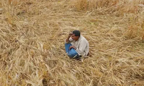 ಮಧ್ಯ ಪ್ರದೇಶ | ಅಕಾಲಿಕ ಮಳೆಯಿಂದ ಬೆಳೆ ನಾಶ : ರೈತ ಆತ್ಮಹತ್ಯೆ