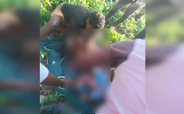 ಮೈಸೂರು | ಸರಗೂರು ತಾಲ್ಲೂಕಿನಲ್ಲಿ ಹುಲಿ ದಾಳಿಗೆ ಮತ್ತೋರ್ವ ಬಲಿ ಮೈಸೂರು | ಸರಗೂರು ತಾಲ್ಲೂಕಿನಲ್ಲಿ ಹುಲಿ ದಾಳಿಗೆ ಮತ್ತೋರ್ವ ಬಲಿ