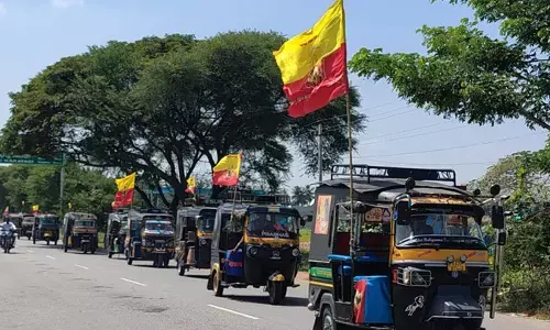 ಕಾರಟಗಿ | ಕನ್ನಡ ರಾಜ್ಯೋತ್ಸವದ ಅಂಗವಾಗಿ ಆಟೋರಿಕ್ಷಾ ಜಾಥಾ