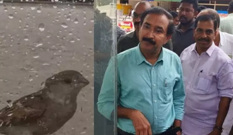 ಕೇರಳ | ಜವಳಿ ಮಳಿಗೆಯೊಳಗೆ ಸಿಲುಕಿದ್ದ ಗುಬ್ಬಚ್ಚಿಯನ್ನು ಬಿಡುಗಡೆ ಮಾಡಲು ನ್ಯಾಯಾಧೀಶರೇ ಬಂದರು!