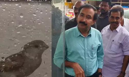 ಕೇರಳ | ಜವಳಿ ಮಳಿಗೆಯೊಳಗೆ ಸಿಲುಕಿದ್ದ ಗುಬ್ಬಚ್ಚಿಯನ್ನು ಬಿಡುಗಡೆ ಮಾಡಲು ನ್ಯಾಯಾಧೀಶರೇ ಬಂದರು!