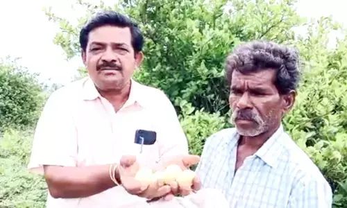 ಸಾವಯವ ಕೃಷಿ ಪದ್ಧತಿಯಿಂದ ಬರಡು ಭೂಮಿಯಲ್ಲಿ ನಿಂಬೆ ಬೆಳೆದು ಯಶಸ್ಸು ಕಂಡ ರೈತ