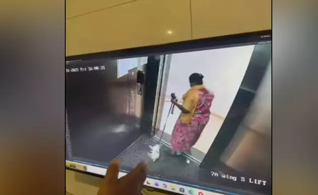 ಬೆಂಗಳೂರು | ಮನೆ ಮಾಲಕರು ಸಾಕಿದ್ದ ಶ್ವಾನದ ಹತ್ಯೆ : ಮನೆಗೆಲಸದ ಮಹಿಳೆ ವಶಕ್ಕೆ ಬೆಂಗಳೂರು | ಮನೆ ಮಾಲಕರು ಸಾಕಿದ್ದ ಶ್ವಾನದ ಹತ್ಯೆ : ಮನೆಗೆಲಸದ ಮಹಿಳೆ ವಶಕ್ಕೆ