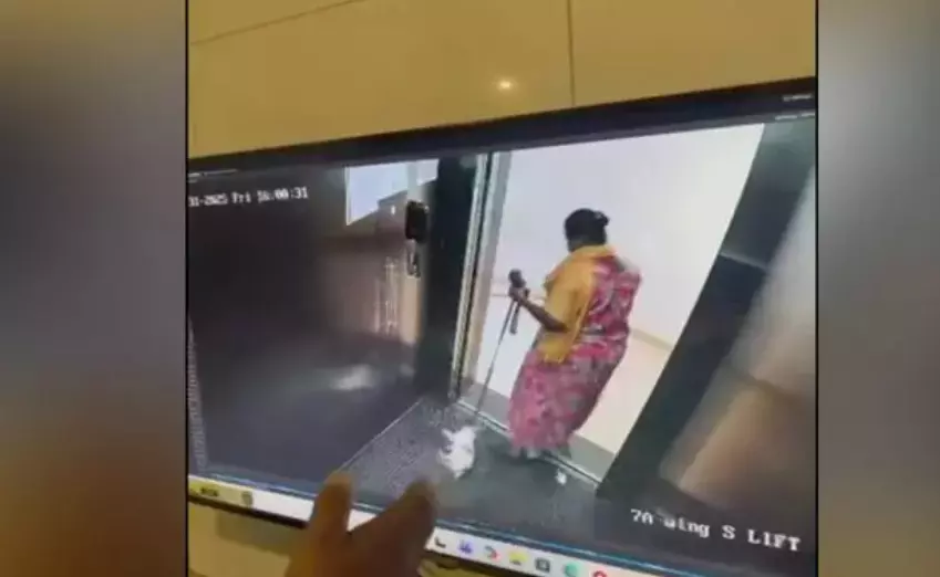 ಶ್ವಾನವನ್ನು ನೆಲಕ್ಕೆ ಬಡಿದು ಹತ್ಯೆ: ಆರೋಪಿ ವಿರುದ್ಧ ಕಾನೂನು ಕ್ರಮಕ್ಕೆ ಆಗ್ರಹ