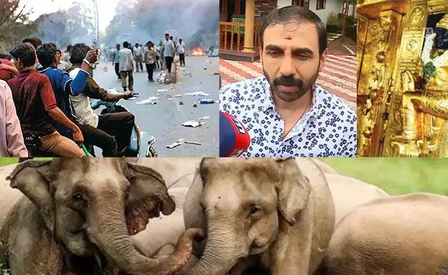 ಎಸ್ಐಟಿ ರಚನೆ: ಉದ್ದೇಶವೇನು? ಸಾಧಿಸಿದ್ದೇನು? ಎಸ್ಐಟಿ ರಚನೆ: ಉದ್ದೇಶವೇನು? ಸಾಧಿಸಿದ್ದೇನು?